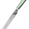Sabre Natura Tafelmes 24 Cm Rvs Kunststof Groen 1 Sabre Natura Tafelmes 24 Cm Rvs Kunststof Groen -Servies Winkel 3682 1790197 1
