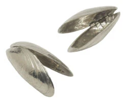 Oldenhof Zeeuws Mosselbestek Zilvertin 2 Stuks