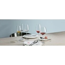 Schott Zwiesel Fortissimo 140 Bourgogne Bokaal 740 Ml Kristalglas 6 Stuks -Servies Winkel fortissimo 5
